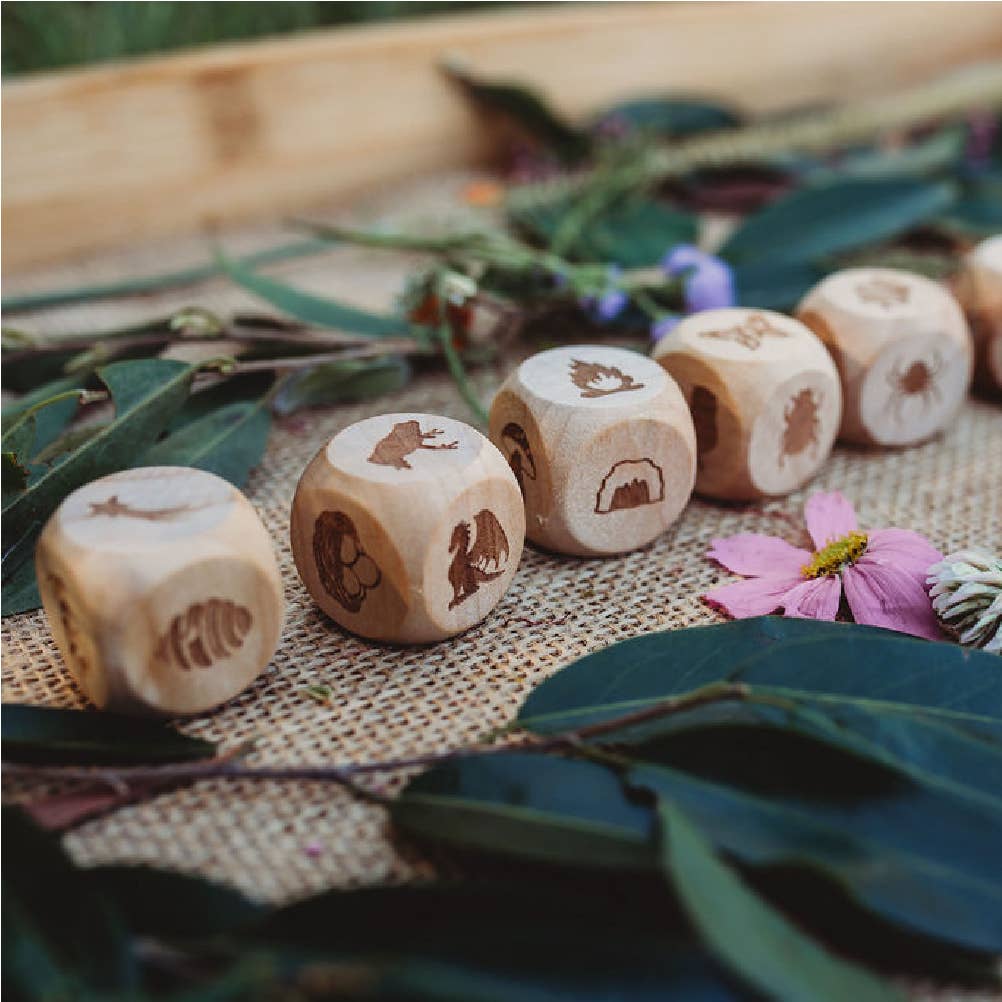 Poppy & Daisy Designs - Nature Story Cubes Mini Kit