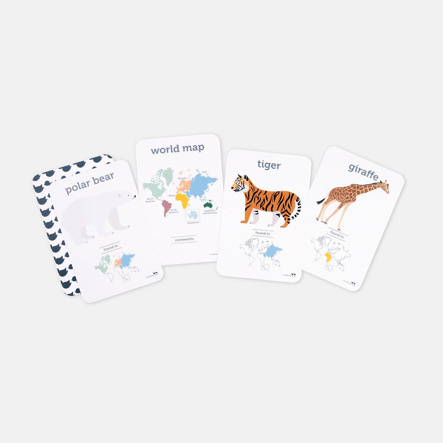 World Animals Flash Cards