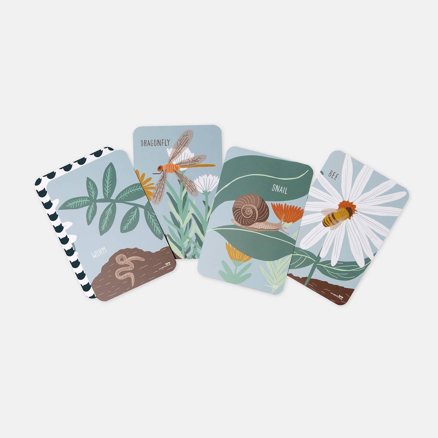 Garden Friends Flash Cards / Game