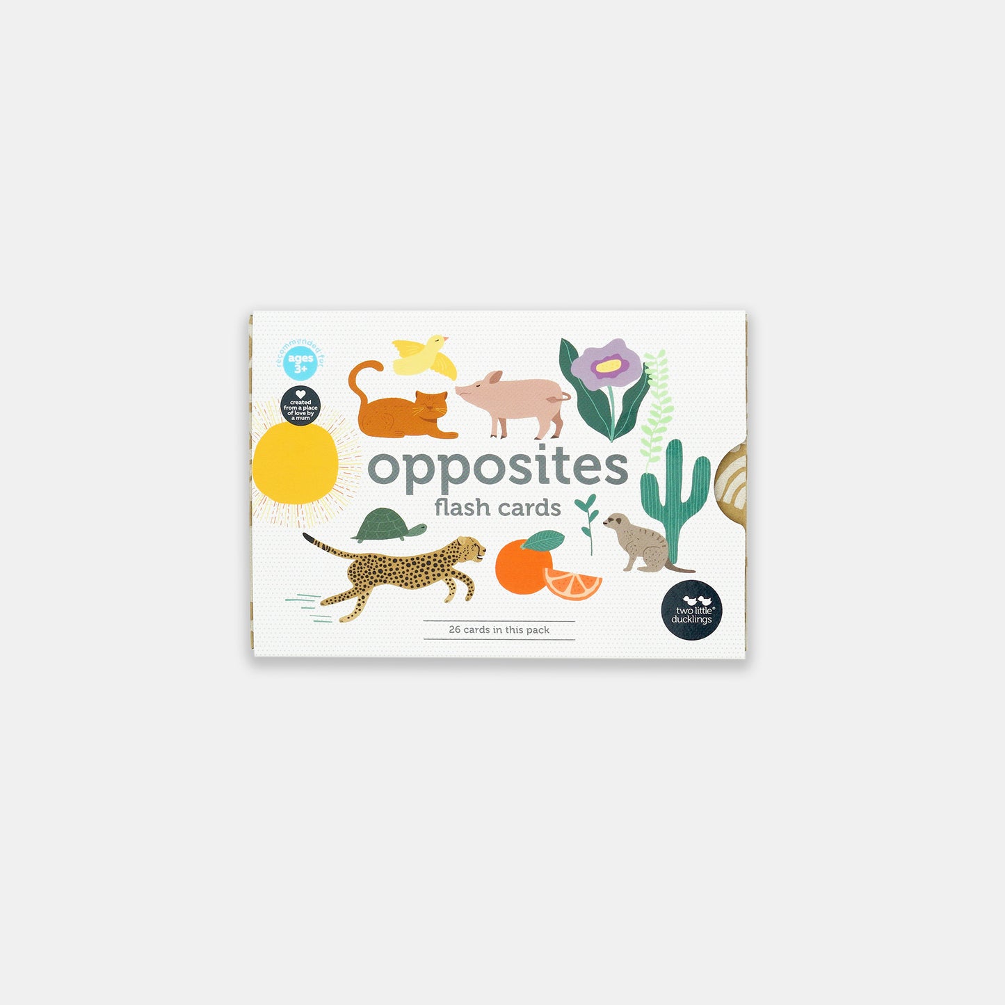 Opposites Flash Cards