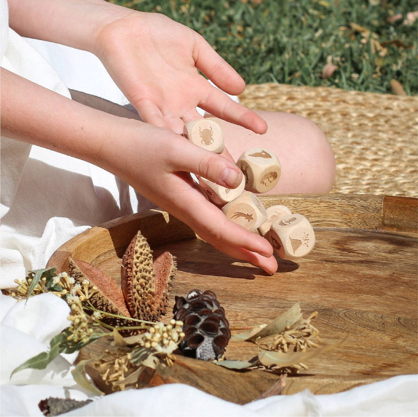 Poppy & Daisy Designs - Nature Story Cubes Mini Kit