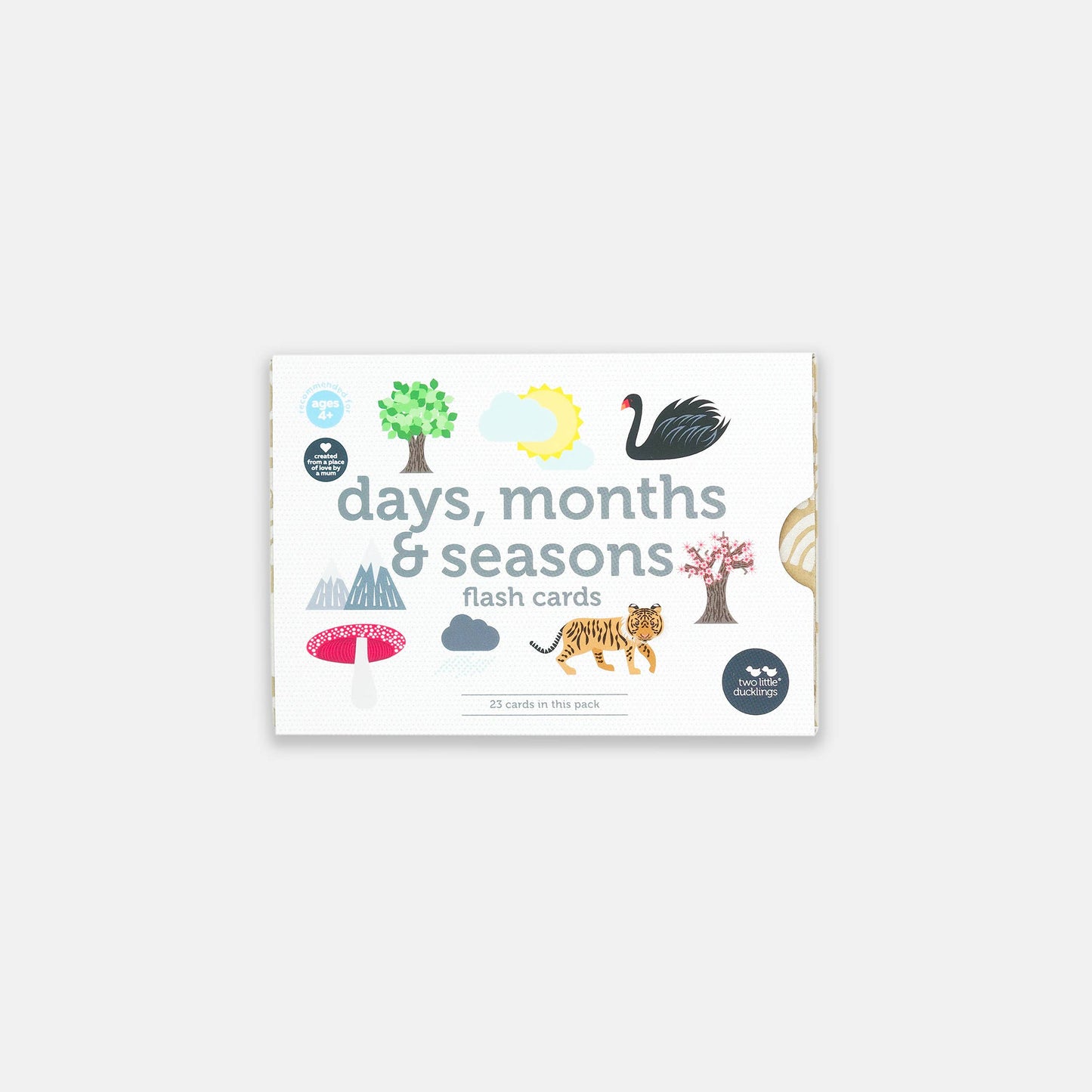 Days, Months and Seasons Flash Cards