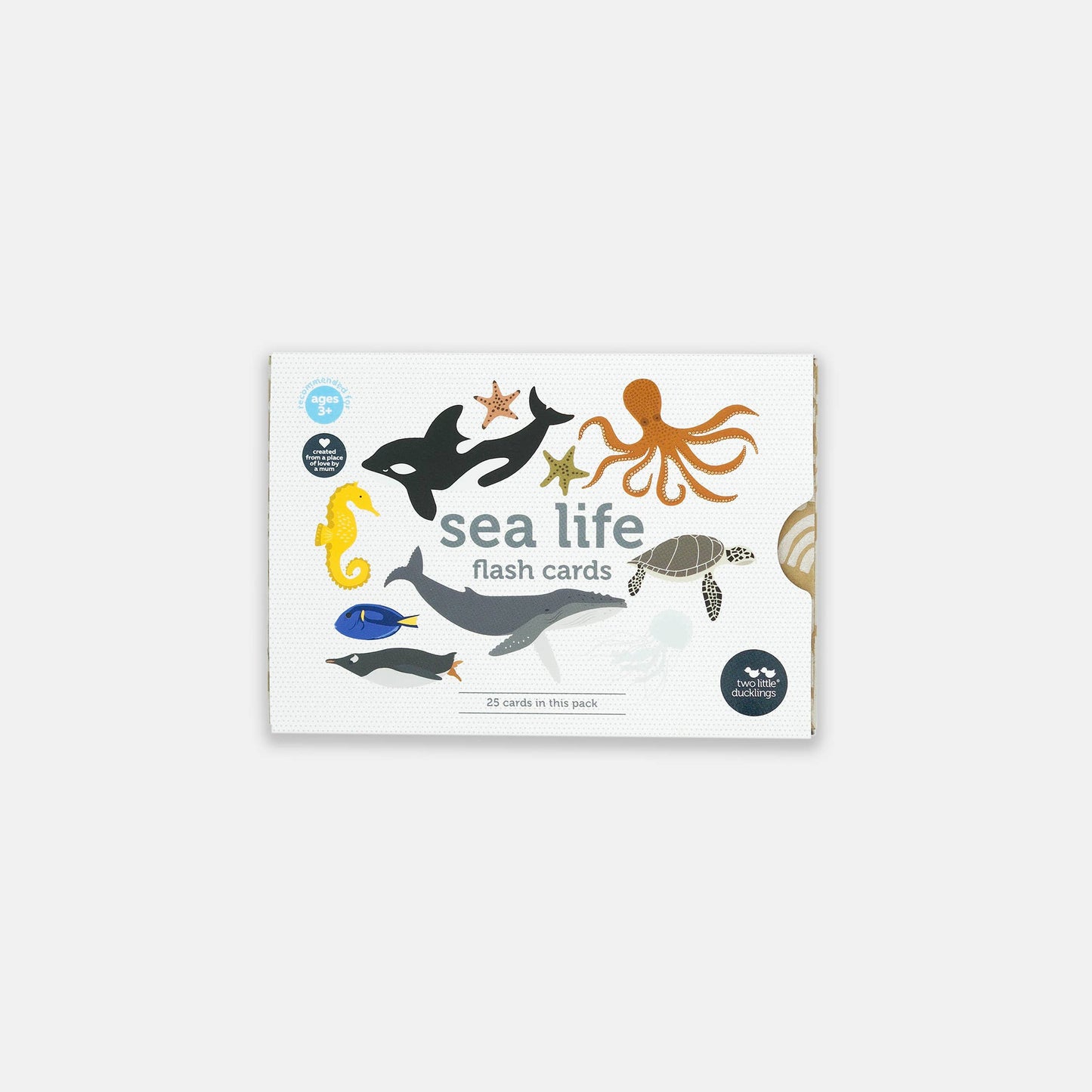 Sea Life Flash Cards